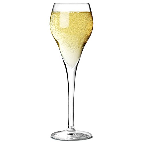 Copa champagne 16 cl Brio